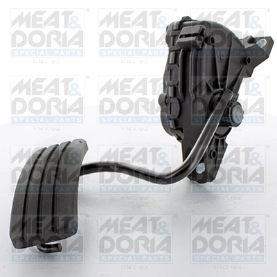 Accelerator Pedal Unit